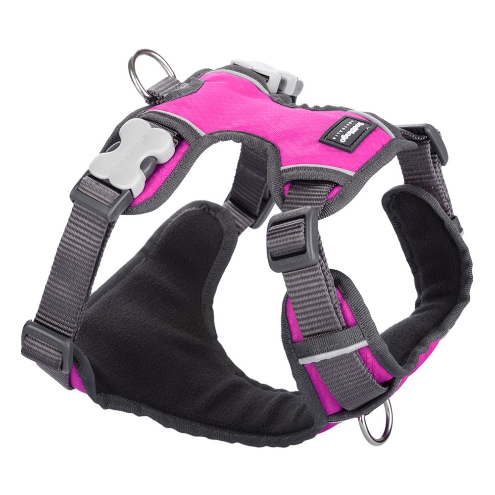Red Dingo Padded Dog Harness (Extra-Small) - Kohepets