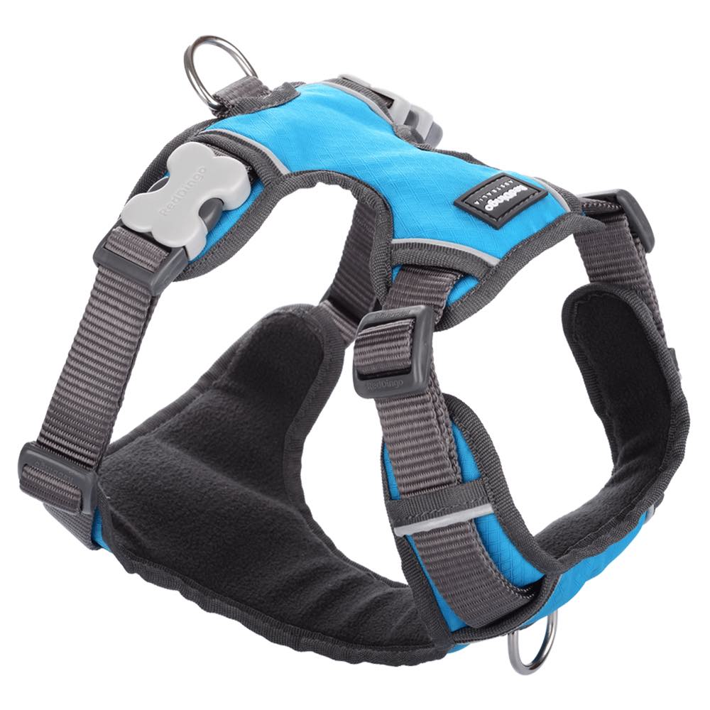 Red Dingo Padded Dog Harness (Extra-Large) - Kohepets