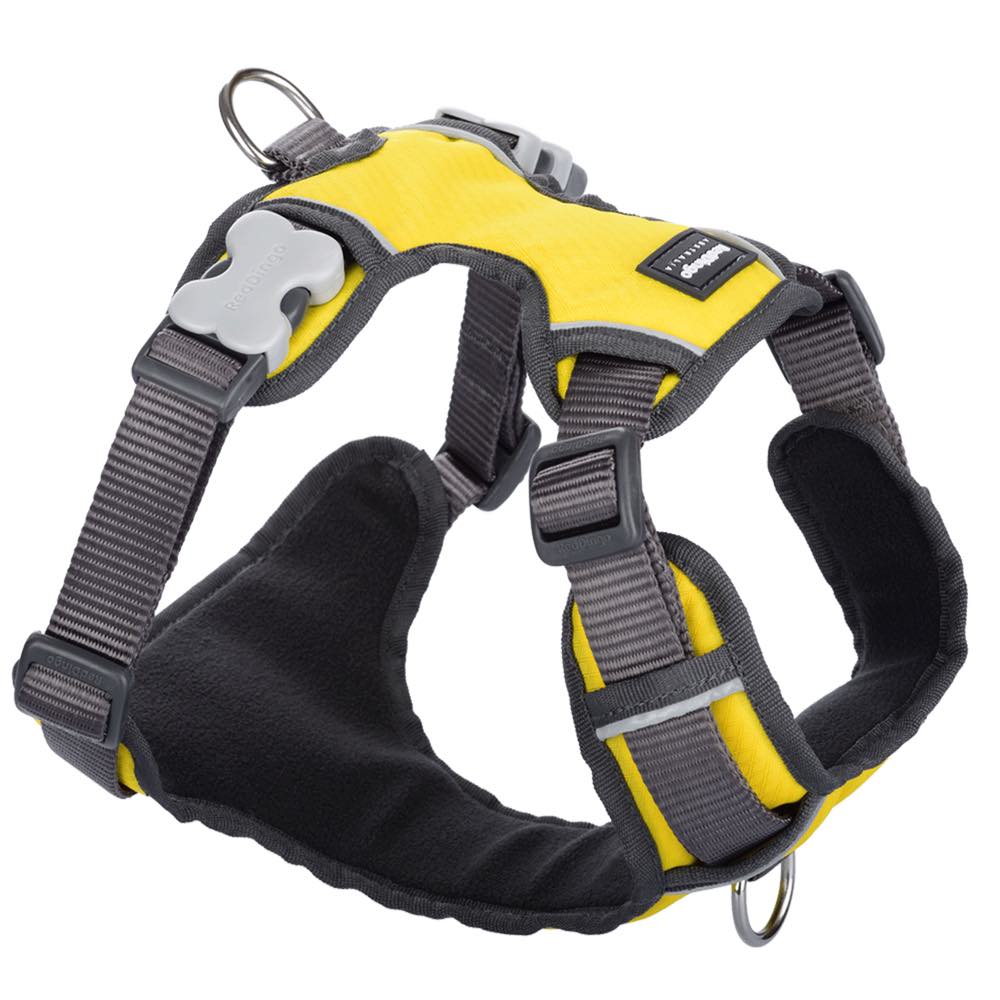 Red Dingo Padded Dog Harness (Large) - Kohepets